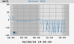 Wind Vector