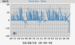 Wind Vector