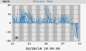 Wind Vector